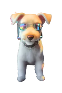 chien avec lunettes de soleil